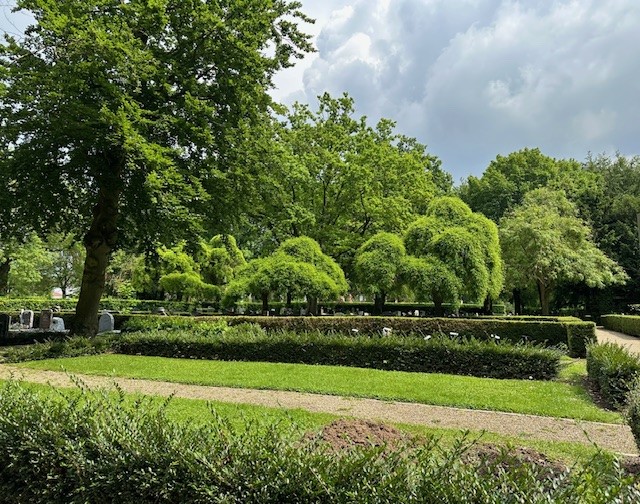 begraafplaats Klundert bomen